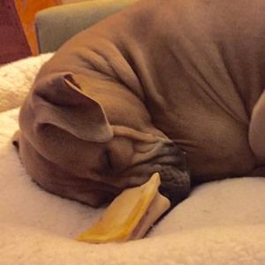 Meet your Posher, Faye